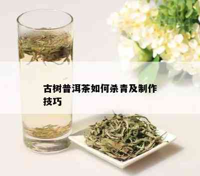 古树普洱茶如何杀青及制作技巧