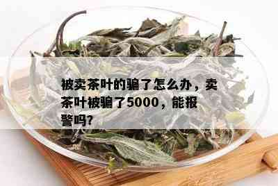 被卖茶叶的骗了怎么办，卖茶叶被骗了5000，能报警吗？