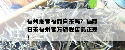 福州推荐福鼎白茶吗？福鼎白茶福州官方旗舰店最正宗！