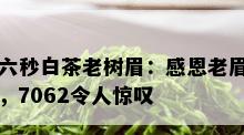 六秒白茶老树眉：感恩老眉，7062令人惊叹