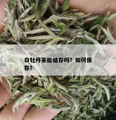 白牡丹茶能储存吗？如何保存？