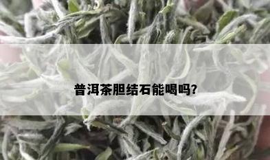 普洱茶胆结石能喝吗？