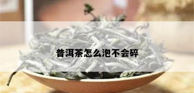 普洱茶怎么泡不会碎