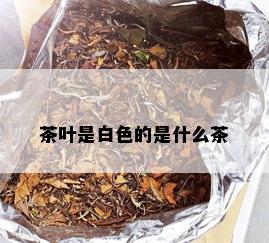 茶叶是白色的是什么茶