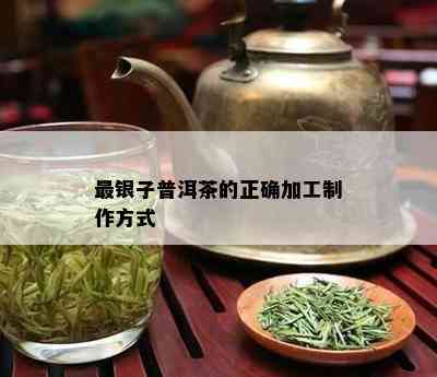 最银子普洱茶的正确加工制作方式