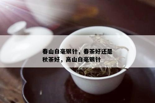 春山白毫银针，春茶好还是秋茶好，高山白毫银针