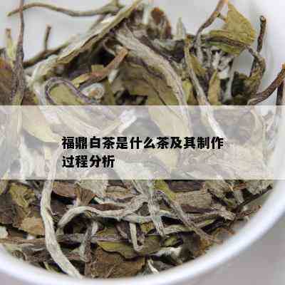 福鼎白茶是什么茶及其制作过程分析