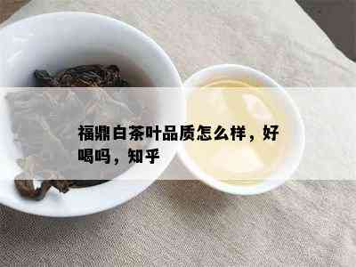 福鼎白茶叶品质怎么样，好喝吗，知乎