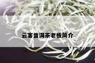 云客普洱茶老板简介