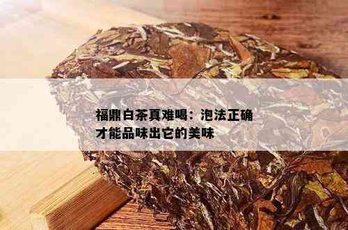 福鼎白茶真难喝：泡法正确才能品味出它的美味