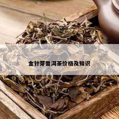 金针芽普洱茶价格及知识