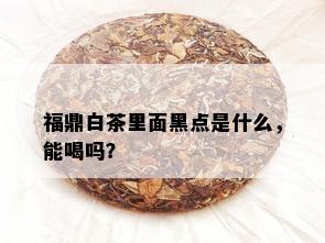 福鼎白茶里面黑点是什么，能喝吗？