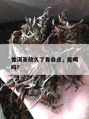 普洱茶放久了有白点，能喝吗？