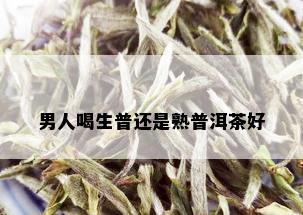 男人喝生普还是熟普洱茶好