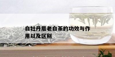 白牡丹眉老白茶的功效与作用以及区别