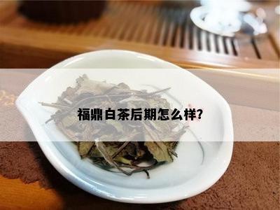 福鼎白茶后期怎么样？