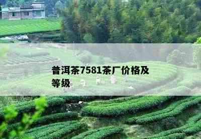 普洱茶7581茶厂价格及等级