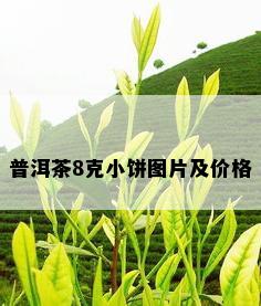 普洱茶8克小饼图片及价格