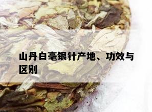 山丹白毫银针产地、功效与区别