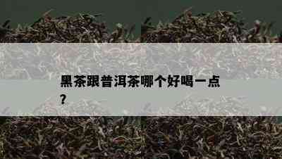 黑茶跟普洱茶哪个好喝一点？