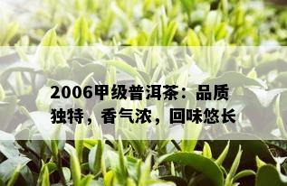 2006甲级普洱茶：品质独特，香气浓，回味悠长