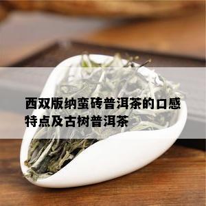 西双版纳蛮砖普洱茶的口感特点及古树普洱茶