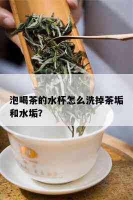 泡喝茶的水杯怎么洗掉茶垢和水垢？