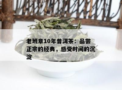 老班章10年普洱茶：品尝正宗的经典，感受时间的沉淀