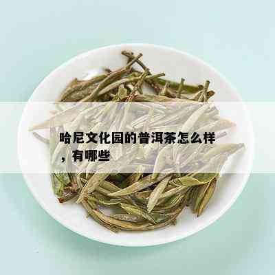 哈尼文化园的普洱茶怎么样，有哪些