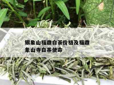 银象山福鼎白茶价格及福鼎象山寺白茶使命