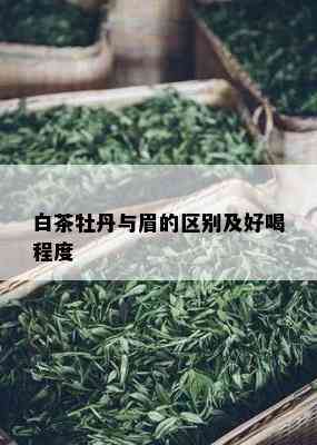 白茶牡丹与眉的区别及好喝程度