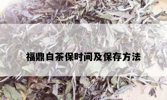 福鼎白茶保时间及保存方法