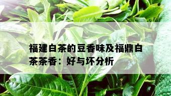 福建白茶的豆香味及福鼎白茶茶香：好与坏分析