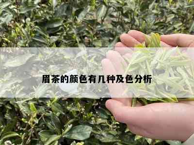 眉茶的颜色有几种及色分析