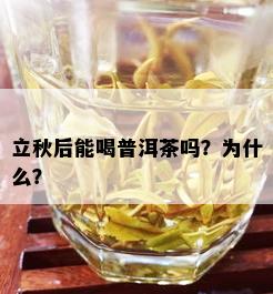 立秋后能喝普洱茶吗？为什么？