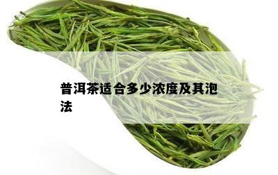 普洱茶适合多少浓度及其泡法