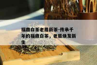 福鼎白茶老眉新茶-传承千年的福鼎白茶，老眉焕发新生