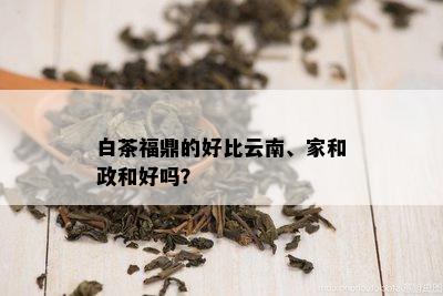 白茶福鼎的好比云南、家和政和好吗？