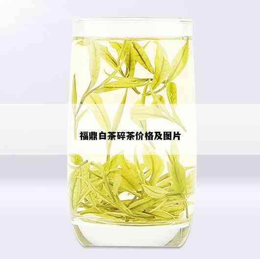 福鼎白茶碎茶价格及图片