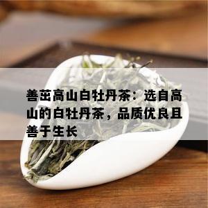 善茁高山白牡丹茶：选自高山的白牡丹茶，品质优良且善于生长