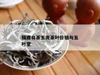 福鼎白茶五虎茶叶价格与五叶堂