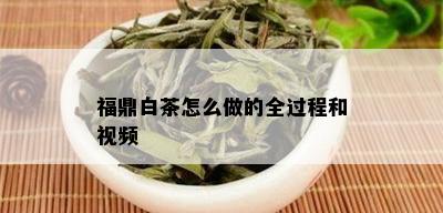 福鼎白茶怎么做的全过程和视频