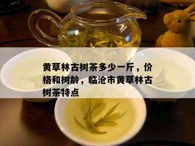 黄草林古树茶多少一斤，价格和树龄，临沧市黄草林古树茶特点