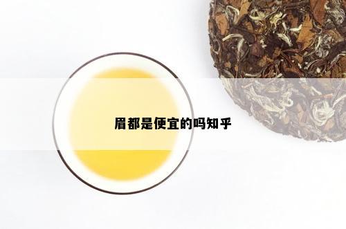 眉都是便宜的吗知乎