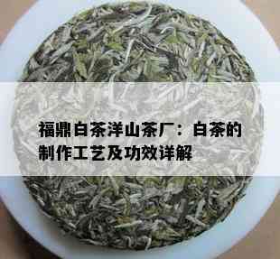 福鼎白茶洋山茶厂：白茶的制作工艺及功效详解