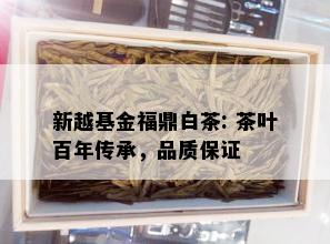 新越基金福鼎白茶: 茶叶百年传承，品质保证