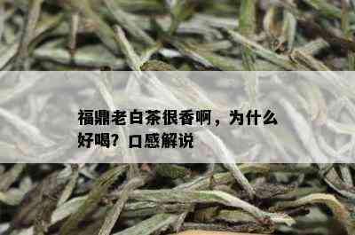 福鼎老白茶很香啊，为什么好喝？口感解说