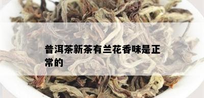 普洱茶新茶有兰花香味是正常的