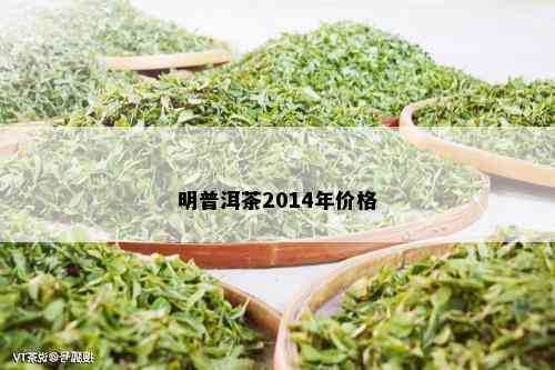 明普洱茶2014年价格