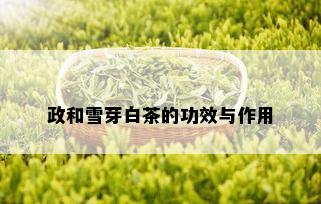 政和雪芽白茶的功效与作用